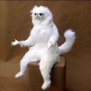 Meet your Posher, Abraham